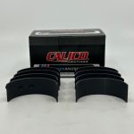 ACL COATED DRIJFSTANGLAGERS OPEL 2.0l X VERSIE