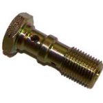 Banjobout dubbel uitgang rempomp