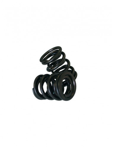 CATCAMS VEREN VERSTERKT OPEL C20XE/STUK Buitenste veer