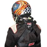 SIMPSON HYBRID HANSCLIPS